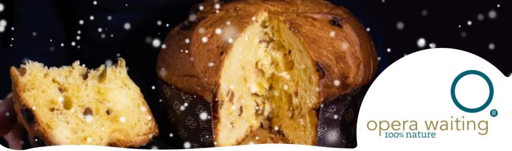 Kerst vier je met Panettone of Pandoro