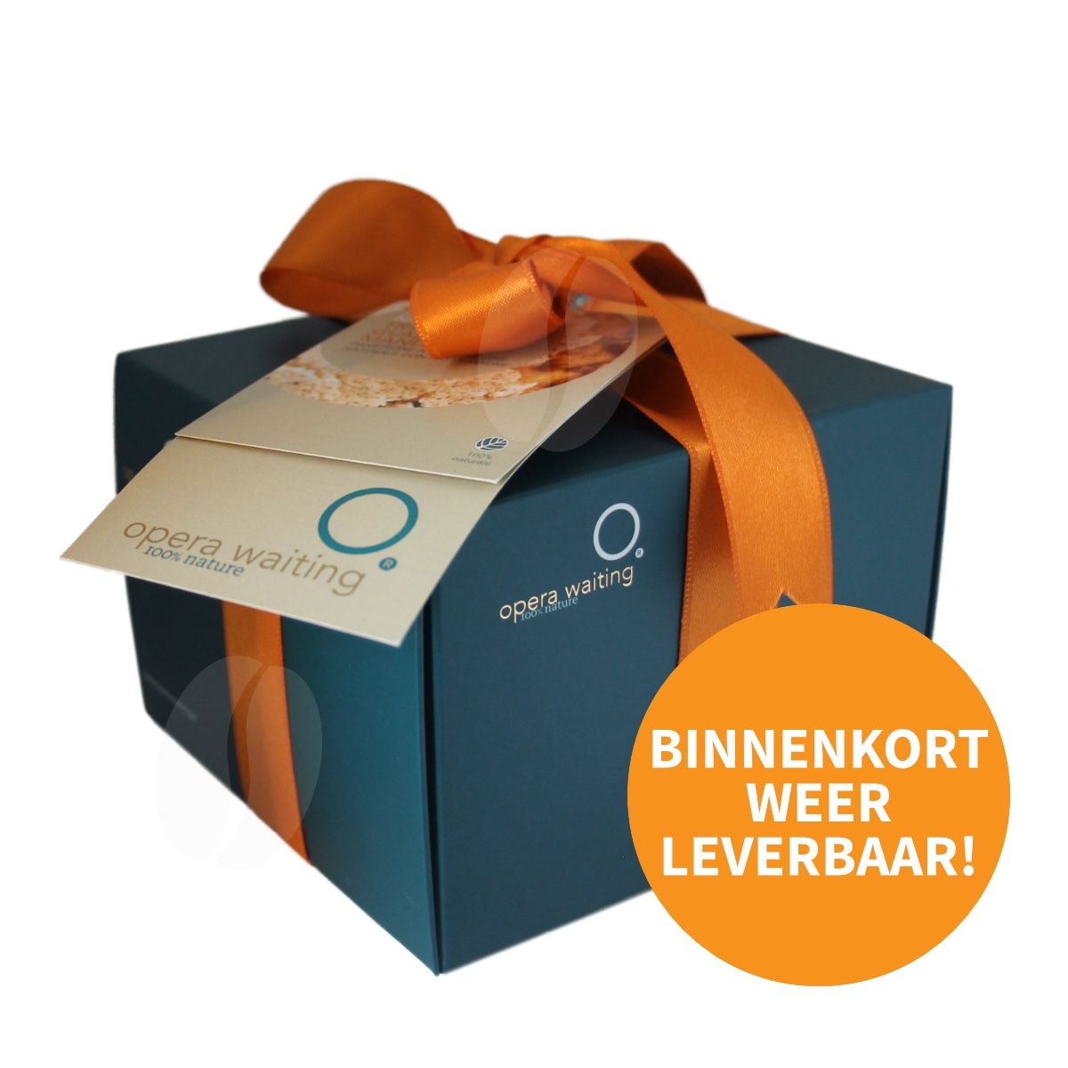 Opera Waiting Panettone "Glassato alla Mandorla" 200 g