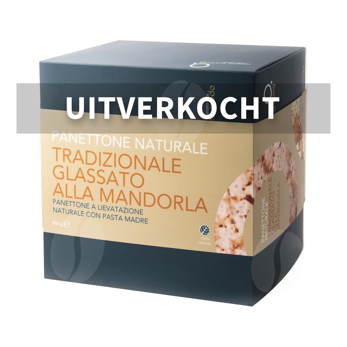 Opera Waiting Panettone "Glassato alla Mandorla" 850 g